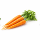 Beta-Carotene Extract